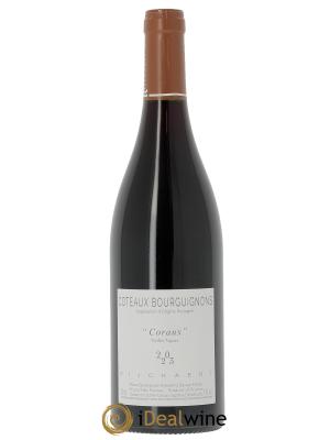 Côteaux Bourguignons Correaux Vielles Vignes Rijckaert 