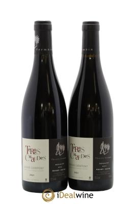Saumur-Champigny Terres Chaudes Domaine des Roches Neuves - Thierry Germain