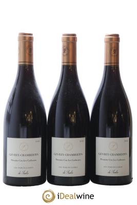 Gevrey-Chambertin 1er Cru Les Corbeaux Les Parcellaires de Saulx