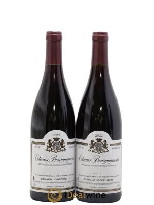 Coteaux Bourguignons Joseph Roty (Domaine)