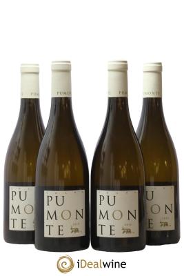 Vin de Corse Calvi Pumonte Domaine Alzipratu