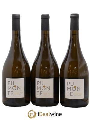 Vin de Corse Calvi Pumonte Domaine Alzipratu