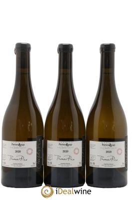 Chablis 1er Cru Butteaux Pattes Loup (Domaine)