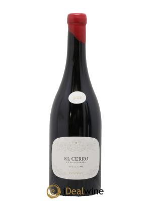 Bierzo DO El Cerro De Valdecanada R Perez