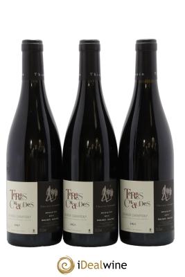 Saumur-Champigny Terres Chaudes Domaine des Roches Neuves - Thierry Germain