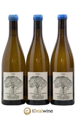 Muscadet-Sèvre-et-Maine Gaia Jérôme Bretaudeau - Domaine de Bellevue