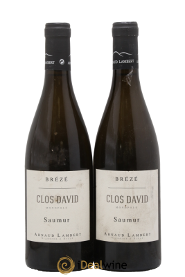 Saumur Brézé Clos David Arnaud Lambert