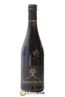 Vin de France Les Grandes Orgues Vignoble de l'Arbre Blanc
