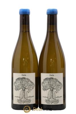 Muscadet-Sèvre-et-Maine Gaia Jérôme Bretaudeau - Domaine de Bellevue