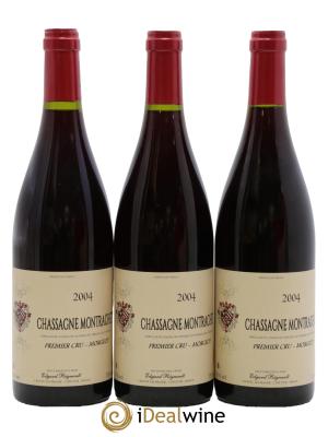 Chassagne-Montrachet 1er Cru Morgeot Edgard Régnault