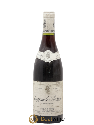 Savigny-lès-Beaune Antonin Guyon