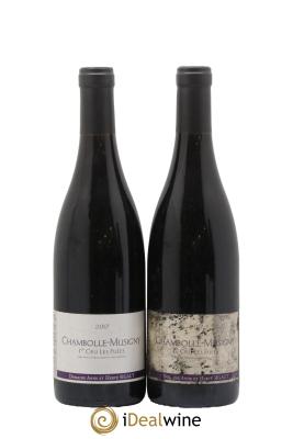 Chambolle-Musigny 1er Cru Les Fuées Anne et Hervé Sigaut (Domaine)