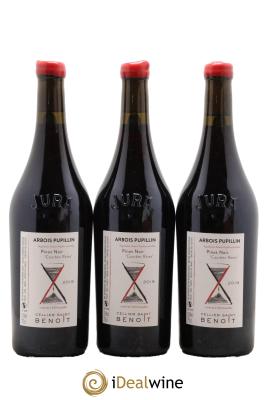 Arbois-Pupillin Pinot Noir Courbes Raies Cellier Saint Benoît