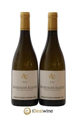 Bourgogne Aligoté Sylvain Cathiard & Fils
