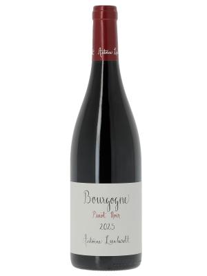Bourgogne Pinot Noir Antoine Lienhardt