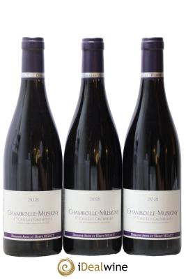 Chambolle-Musigny 1er Cru Les Groseilles Anne et Hervé Sigaut (Domaine)