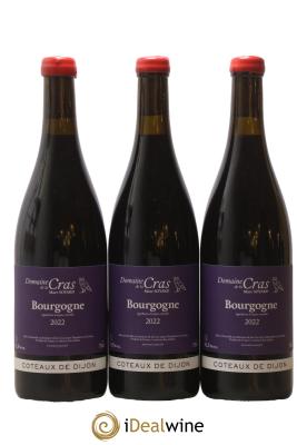 Côteaux de Dijon Domaine de la Cras - Marc Soyard