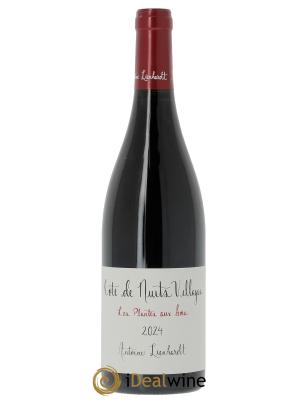 Côte de Nuits-Villages Les Plantes aux bois Antoine Lienhardt