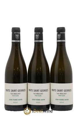 Nuits-Saint-Georges Les Argillats Guyon (Domaine)