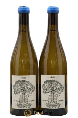 Muscadet-Sèvre-et-Maine Gaia Jérôme Bretaudeau - Domaine de Bellevue