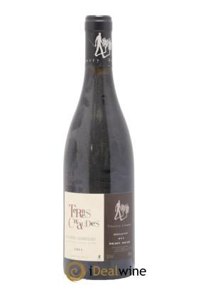 Saumur-Champigny Terres Chaudes Domaine des Roches Neuves - Thierry Germain