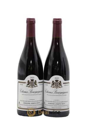 Coteaux Bourguignons Joseph Roty (Domaine)