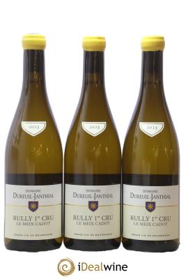 Rully 1er Cru Le Meix Cadot Vincent Dureuil-Janthial