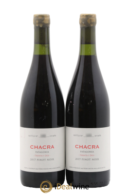 Patagonie Bodega Chacra Pinot Noir 32
