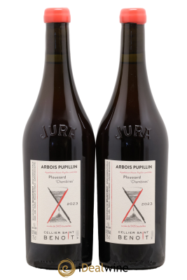 Arbois-Pupillin Ploussard Chambines Cellier Saint Benoît