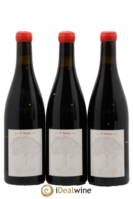 Vin de France V Sens Jérôme Bretaudeau - Domaine de Bellevue