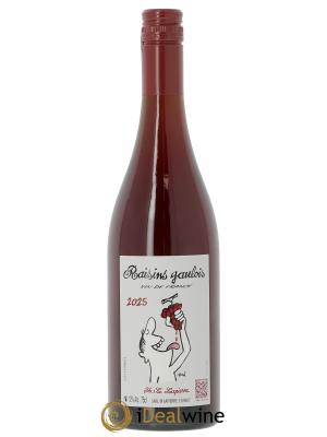 Vin de France Raisins Gaulois Marcel Lapierre (Domaine) 