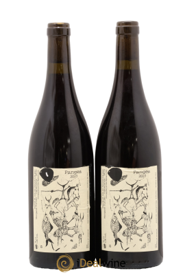 Vin de France Pangea Morgane Turlier