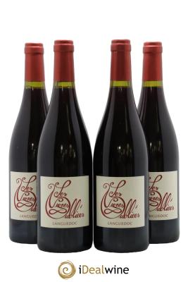 Languedoc Les Vignes Oubliées Autour du Cinsault Jean-Baptiste Granier