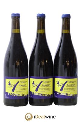 Bourgogne L'équilibriste Domaine de la Cras - Marc Soyard