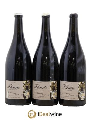 Fleurie Le Printemps Yvon Métras