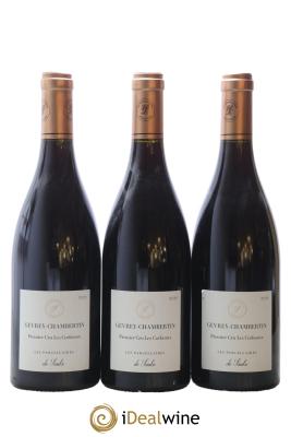 Gevrey-Chambertin 1er Cru Les Corbeaux Les Parcellaires de Saulx