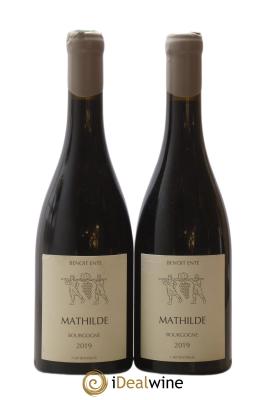 Bourgogne Mathilde Benoit Ente 
