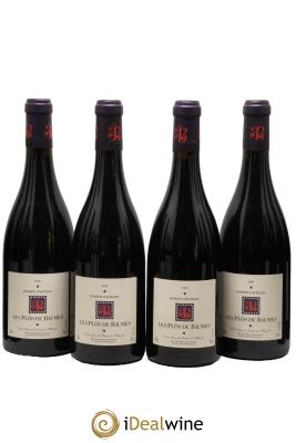 Pays d'Hérault Les Plôs De Beaume Domaine D'Aupilhac Sylvain Fadat