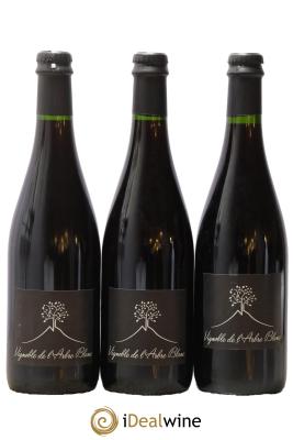 Vin de France Les Orgues Vignoble de l'Arbre Blanc 