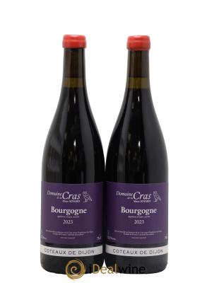 Coteaux de Dijon Domaine de la Cras - Marc Soyard