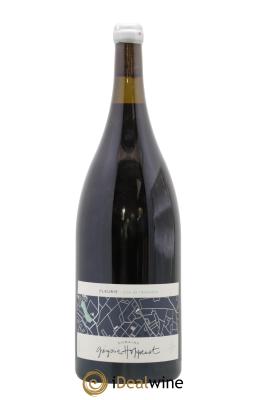 Fleurie Clos de l'Amandier Grégoire Hoppenot (Domaine) 