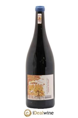 Côtes-du-Rhône Mayard (Domaine)