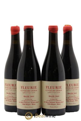 Fleurie Cuvée du Chaos Yann Bertrand