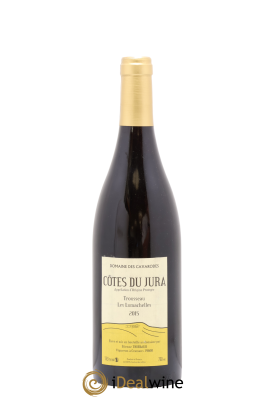 Côtes du Jura Trousseau Les Lumachelles Cavarodes (Domaine des) - Etienne Thiébaud