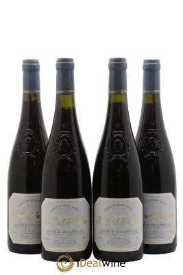 Saumur-Champigny Terres Chaudes Domaine des Roches Neuves - Thierry Germain