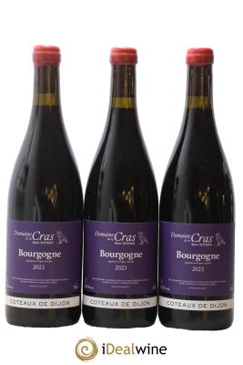 Bourgogne Côteaux De Dijon Domaine de la Cras - Marc Soyard
