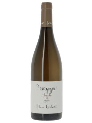 Bourgogne Aligoté Antoine Lienhardt