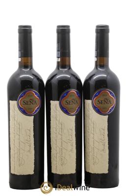 Chili Aconcagua Valley Domaine Sena