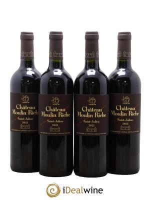 Château Moulin Riche