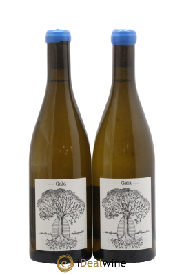 Muscadet-Sèvre-et-Maine Gaia Jérôme Bretaudeau - Domaine de Bellevue